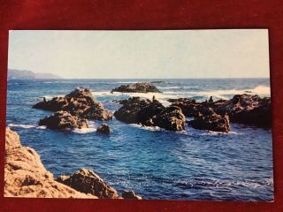 Monterey Peninsula,  California - Seal Rocks Vintage Postcard