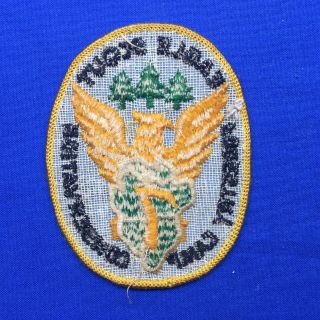 Boy Scout Region 7 Eagle Scout Forestry Camp Conservation Patch 3