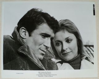 Sharon Tate 1967 Vintage Press Photo Pinup Valley Of The Dolls Still
