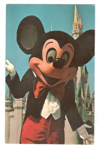 Mickey Mouse Walt Disney World Vintage 1970 