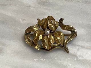 Antique Art Nouveau 2 Tone 14k Gold Iris Pin With Pearl