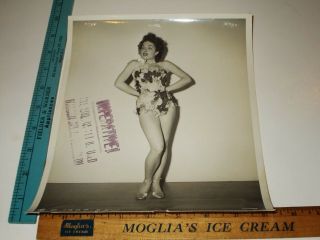 Rare Vtg Columbia Pictures Gorgeous Showgirl Cronenweth Photo