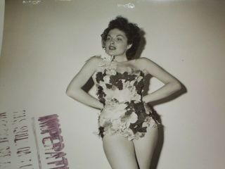 Rare VTG Columbia Pictures Gorgeous Showgirl Cronenweth Photo 2