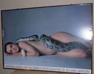 Vintage 1981 Nastassja Kinski & The Serpent Poster Full Size Framed 36x25