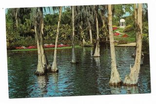 Vintage Florida Chrome Postcard Cypress Gardens Gazebo Through Trees Shores