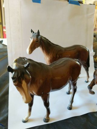 Vintage Beswick England,  Brown Glossy Porcelain Horses,  Stamped,  9 Horses Total