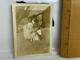 Vintage B&w Photo Girl With Sheep Lamb Puppy Dog Farm