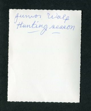 Vintage Photo Christmas Card Men Hunting w/ Guns Dead Deer & Coyote 442183 2