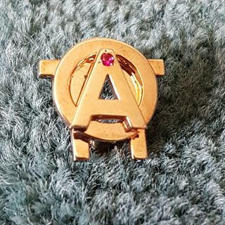 Vintage Alpha Omicron Pi Sorority Frat Gold Ruby Pin Badge - Wow