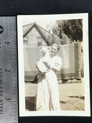 Bw183 / Three Vintage Photos / Woman And Family Dog - 1940 Jersey