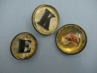Three Antique Horse Bridle Rosettes Bridle Buttons/ Dog Head & Letters K & E