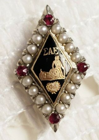 Σae Sigma Alpha Epsilon Fraternity 14k Gold Black Enamel Garnet Pearl Member Pin