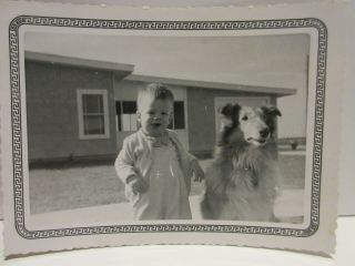 Vintage 1955 Christmas Card With Black And White Photo Of Baby And Collie Dog