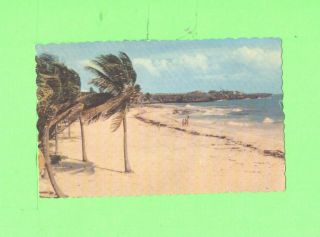 Mm Postcard Sam Lord S Beach St Philip Barbados B W I Bathers On The Beach