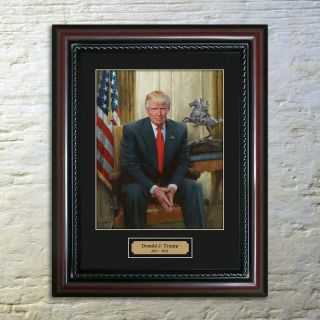 Us President - Donald J.  Trump Special Edition Framed Portrait