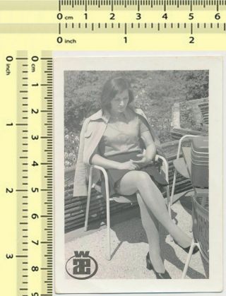071 Leggy Woman Sit Crossed Legs Pretty Lady In Skirt Vintage Photo