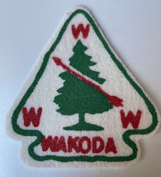 Boy Scout Oa 246 Wakoda Vintage Felt Fake