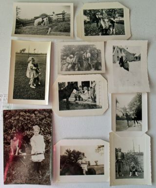 10 Vintage B/w Photos Of Kids With Pets Dogs Horses Calves Cats About 1940