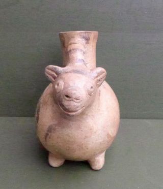 pottery vessel in the shape of a guinea pig,  Huari/Wari culture Peru 3