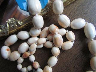 Antique Natural Undyed Angel Skin Coral Beads Necklace 58 G