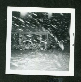 Unusual Vintage 1962 Photo Christmas Snow In Mid Air Motion 442111
