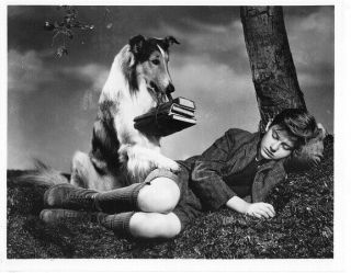 Roddy Mcdowall Child Actor 8x10 Promo Photo Lassie Come Home
