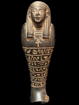 Rare Very Large Ancient Egyptian Shabti,  Late Period 664 - 332 Bc (11)