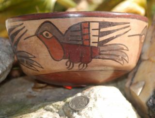 Pre - Columbian Nazca / Nasca Pre - Colombian Polychrome Terracotta Bird Bowl