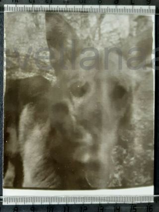 Reserved Ghost Camera Light Abstract Surreal Unusual Odd Vintage Photo Error