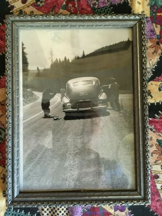 Vintage Framed Photo Of People In Car Feeding A Bear Yellowstone??