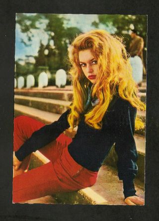 Brigitte Bardot Postcard Real Photo Vintage 1960s Great Rare Photo Card