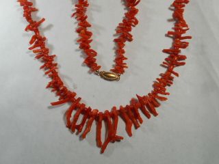 14k Gold Big Clasp Vintage Natural Undyed Red Branch Coral 25.  5 " Necklace