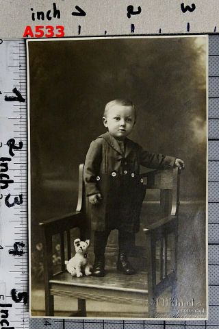 1910s Vintage Photo Pc Little Boy W Stuffed Toy Dog,  Steiff ?