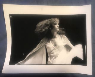 Stevie Nicks Fleetwood Mac Vintage Press 8x10 Photo London Features Photo 23