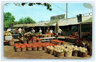 Postcard Mi Berrien County Roadside Fruit Market Vtg Photo View 1960s D4