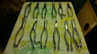 Vintage Dental Tools Stainless Steel Extractors,  Hu - Friedy Tarno Parnell Usa Gy