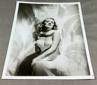 Vintage Actress 8x10 Movie Photo Still Marlene Dietrich