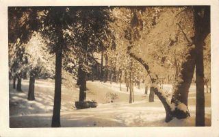 Rppc Big Creek,  Ca Fresno County Trees,  Snow 1917 Vintage Photo Postcard