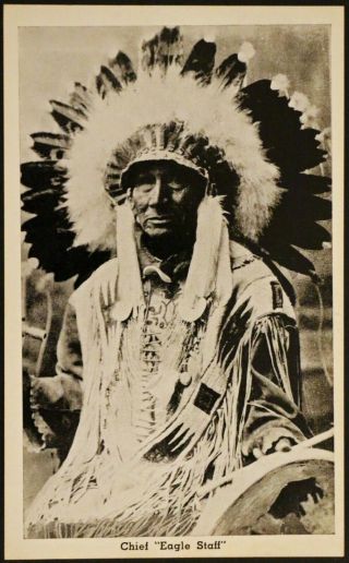 Vintage Unposted American Indian Chief Eagle Staff Real Photo Postcard Rppc