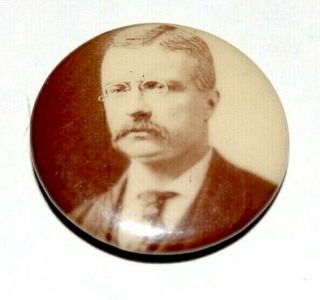 1904 Teddy Roosevelt 7/8 " Theodore Campaign Pin Pinback Button Badge Political