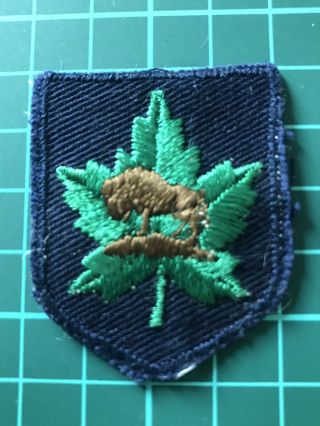 Rare Canadian Boy Scout County Badge