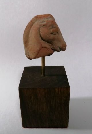 A Roman - Egyptian Terracotta Head Of A Horse - 2000 Years Old