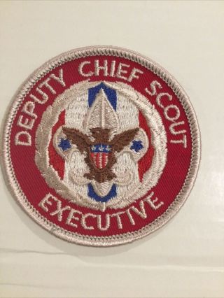 National Deputy Chief Scout Executive Insignia Position Patch Plastic Back