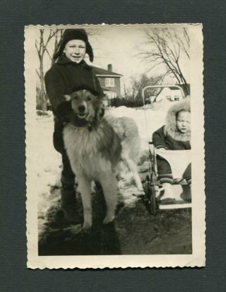 Boy W/ Pet Collie Dog & Baby In Stroller Vintage 1950 Photo 450191