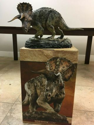 Sideshow Collectibles Triceratops Statue Dinosauria Jurassic Park 571/1000 3