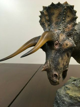 Sideshow Collectibles Triceratops Statue Dinosauria Jurassic Park 571/1000 6