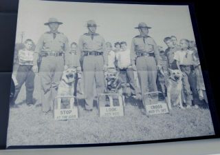 Pa State Police With Dogs Photo Negative C1955 Latrobe Pa School Crossing Safety