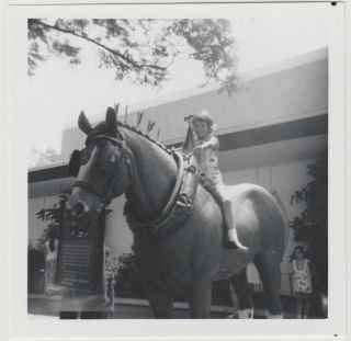 Square B&w Vintage 60s Photo Little Girl On Horse Statue?