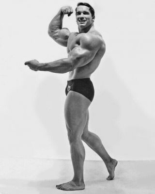 Bodybuilder,  Actor Arnold Schwarzenegger 8x10 Photo Celebrity Print Poster