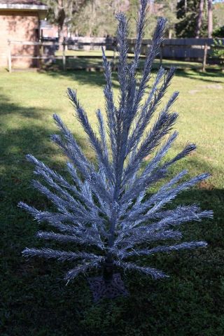 Vintage Aluminum Silver Christmas Tree,  6 Foot,  With All 57 Branches Alcoa